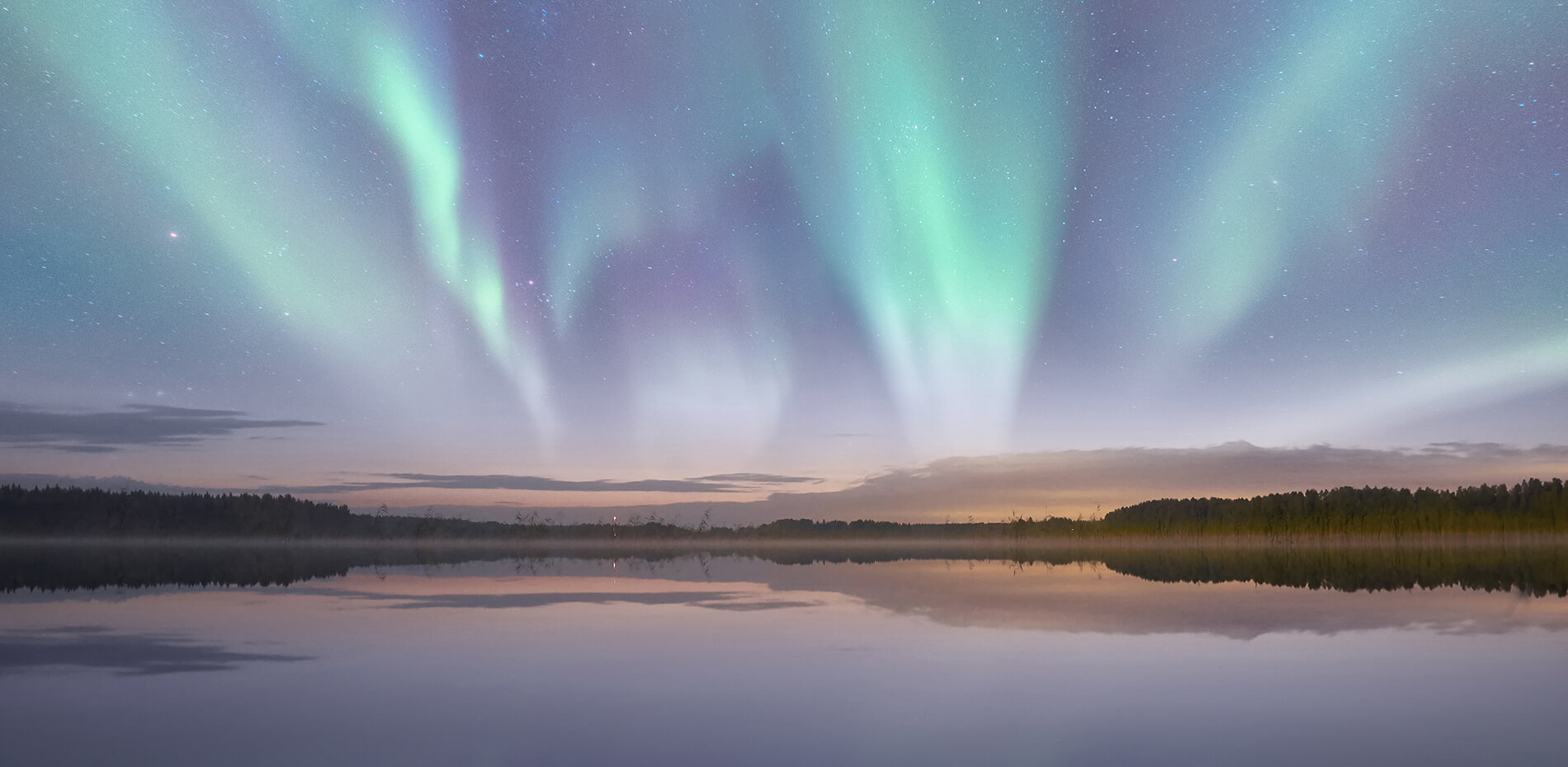 Farbenfrohes Polarlicht in Grün- und Violetttönen am klaren Nachthimmel