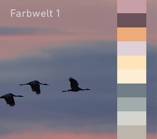 Цветовой мир 1