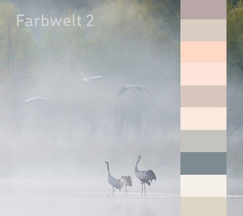 Цветовой мир 2