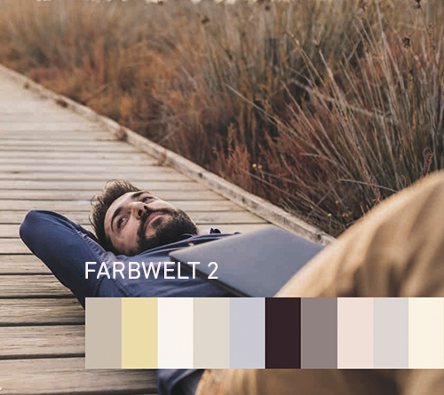 Цветовая палитра 1 -