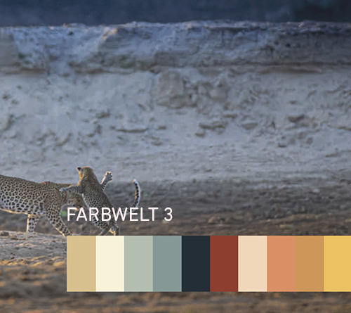 Цветовая палитра 1 -